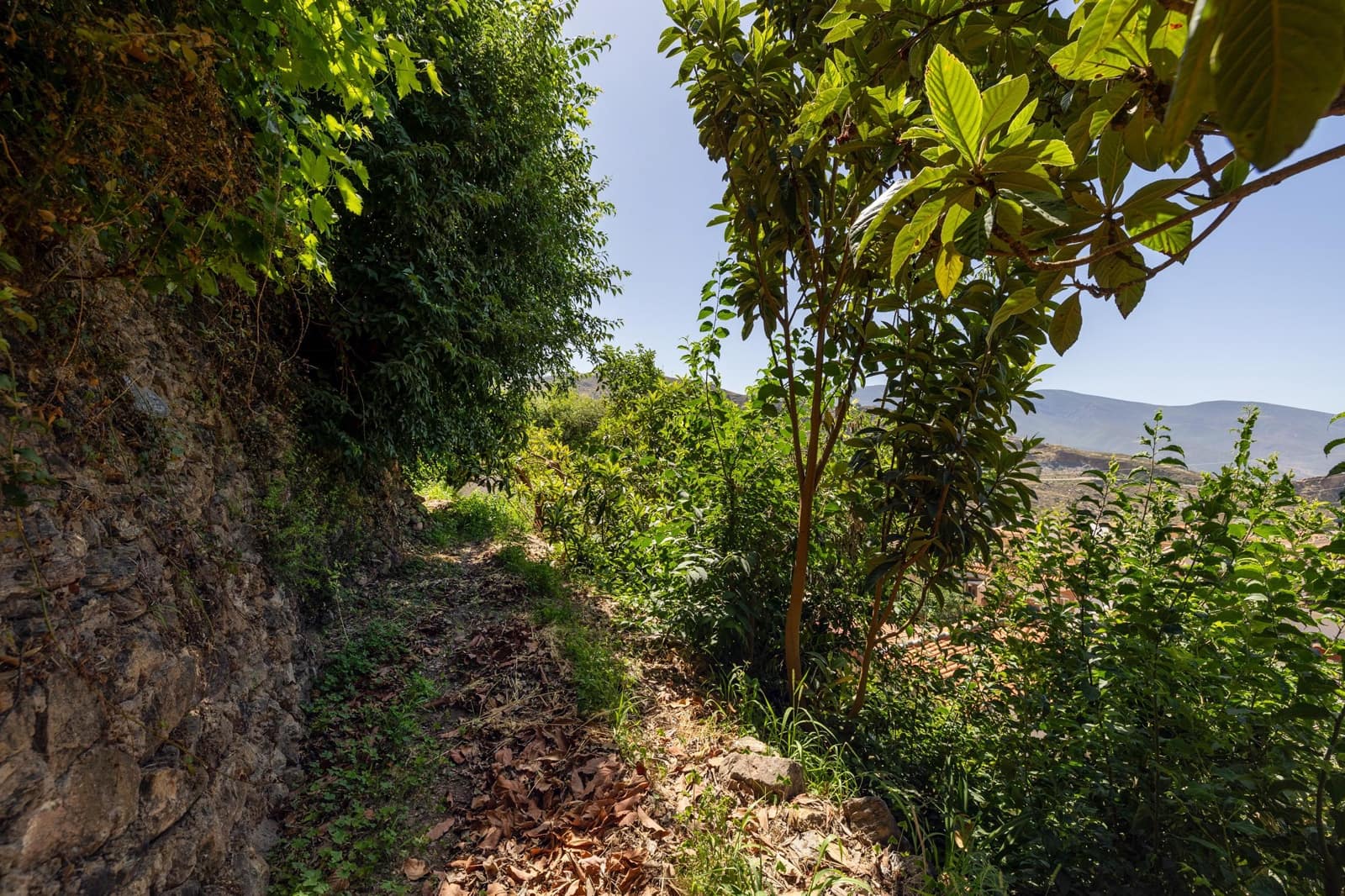 2 camera da letto Finca/Casa di Campagna in vendita in Lanjaron - 87.000 € (Rif: 9434169)