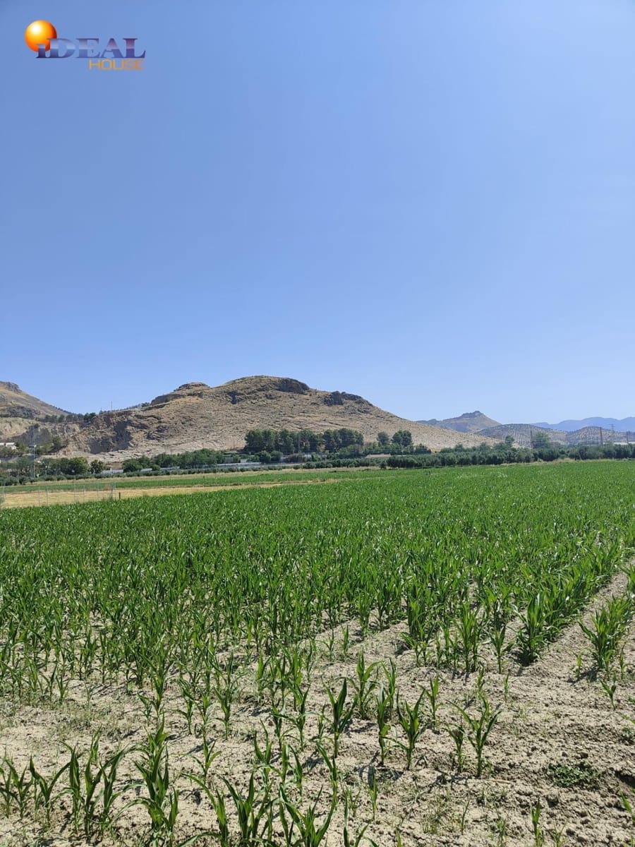 Terreno/Finca Rústica en Atarfe en venta - 95.000 € (Ref: 9434176)