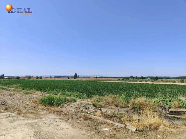 Terreno/Finca Rústica en Atarfe en venta - 95.000 € (Ref: 9434176)