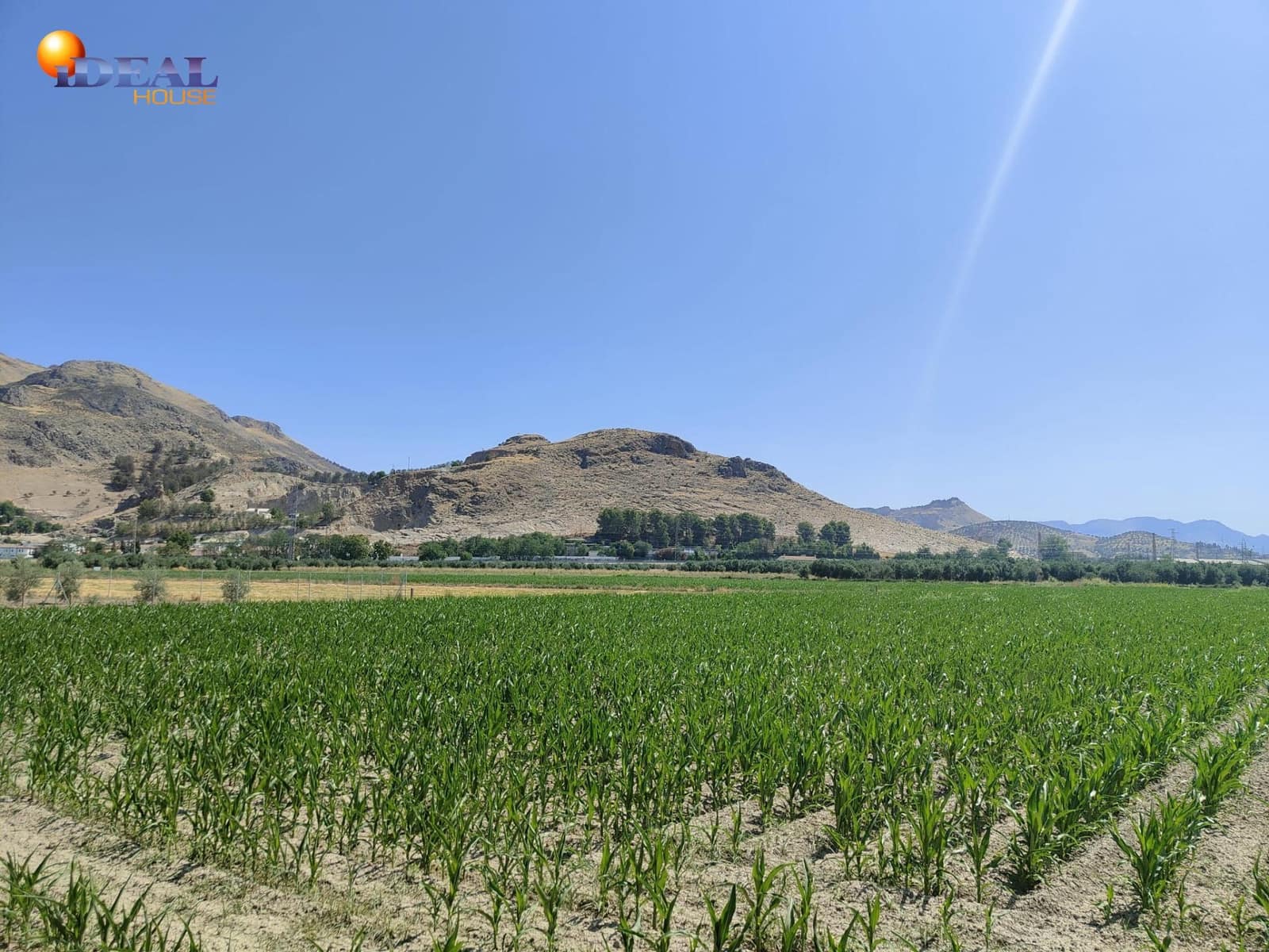 Terreno/Finca Rústica en Atarfe en venta - 95.000 € (Ref: 9434176)