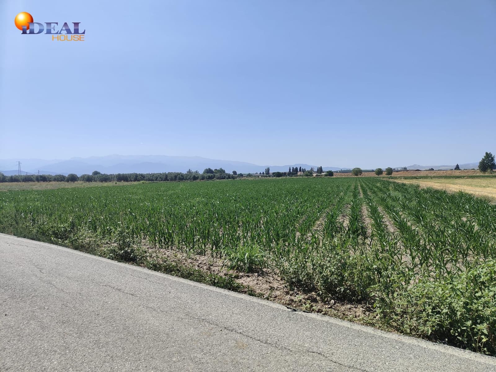 Terreno/Finca Rústica en Atarfe en venta - 95.000 € (Ref: 9434176)