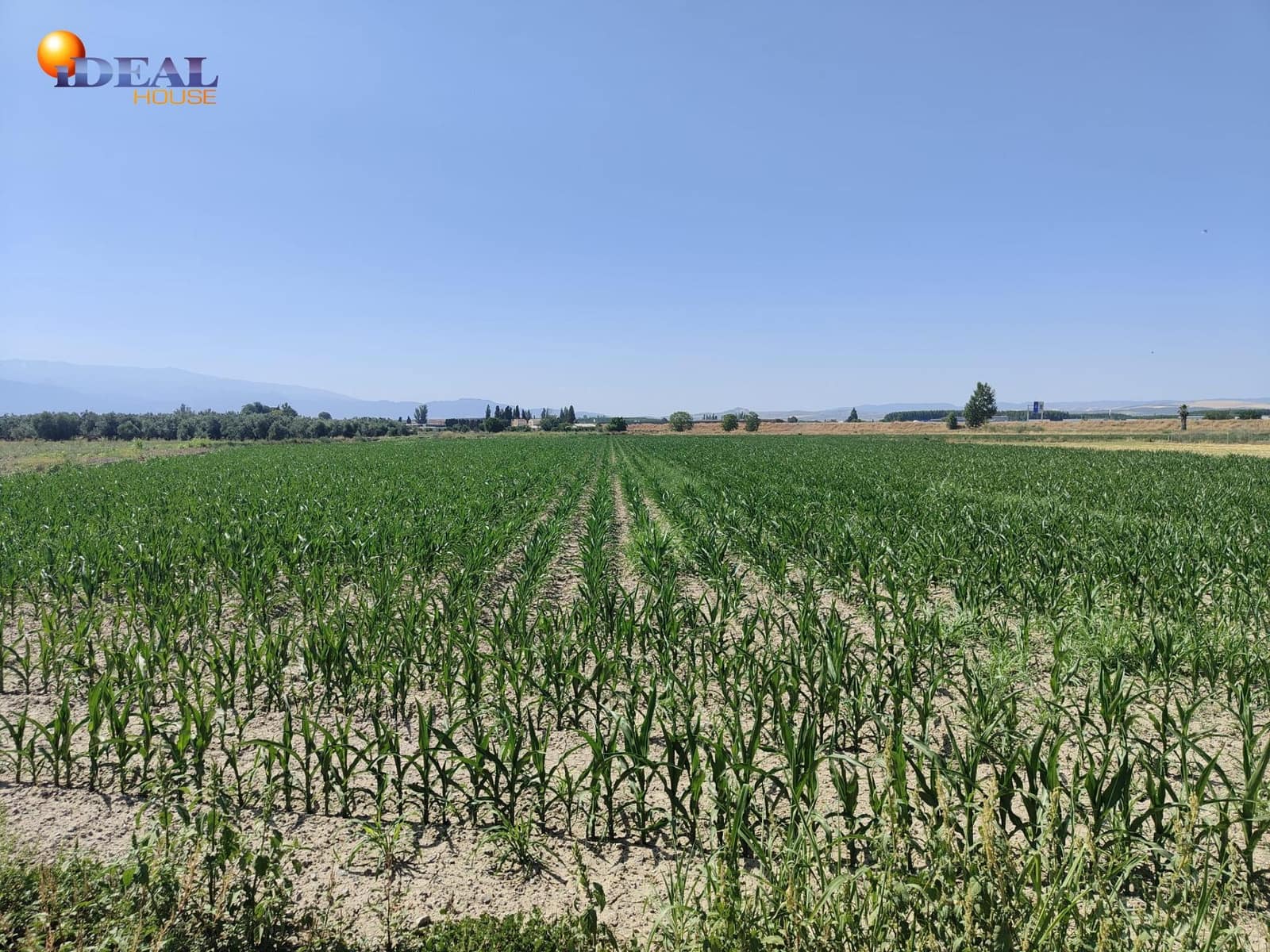 Terreno/Finca Rústica en Atarfe en venta - 95.000 € (Ref: 9434176)