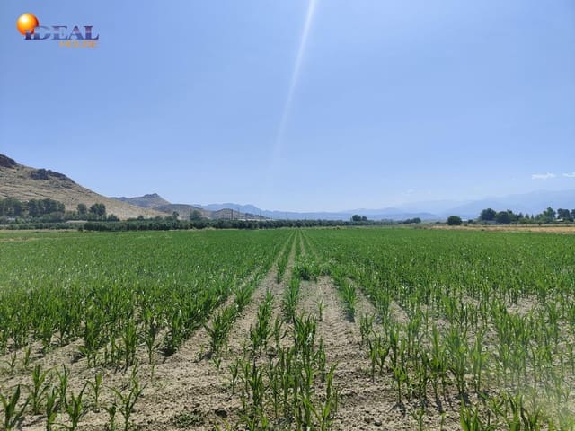 Terreno/Finca Rústica en Atarfe en venta - 95.000 € (Ref: 9434176)