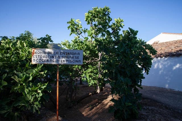 8 bedroom Finca/Country House for sale in Beas de Segura - € 345,000 (Ref: 9434203)