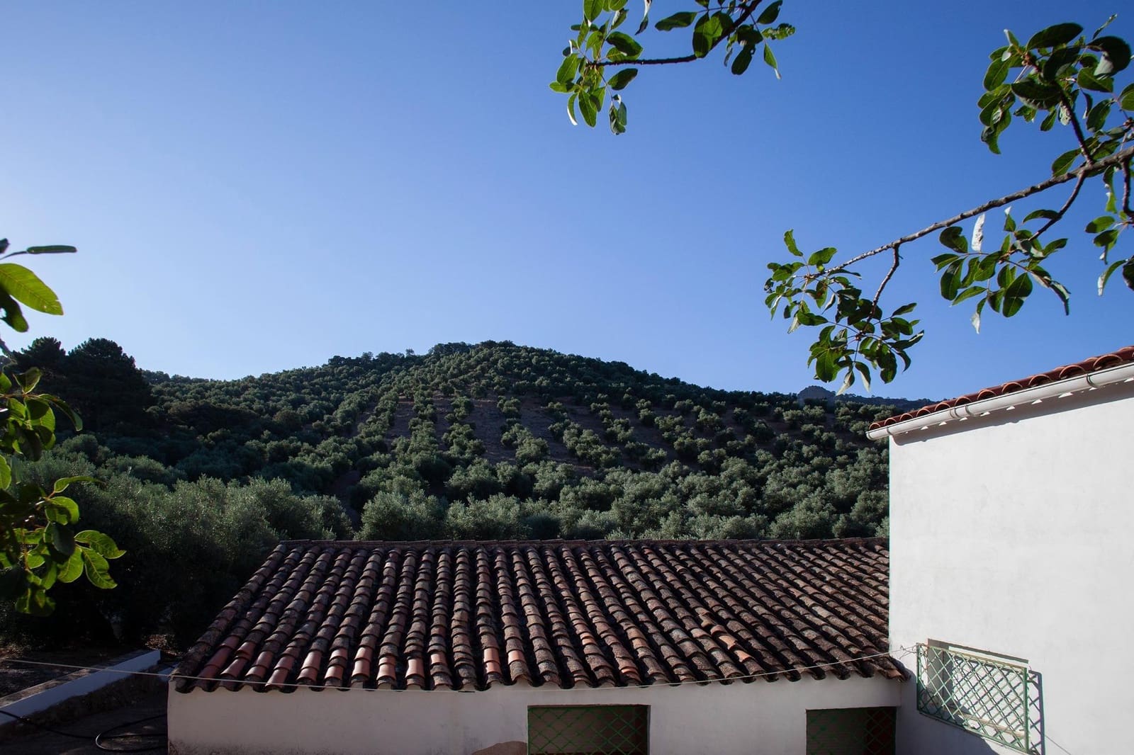 8 bedroom Finca/Country House for sale in Beas de Segura - € 345,000 (Ref: 9434203)