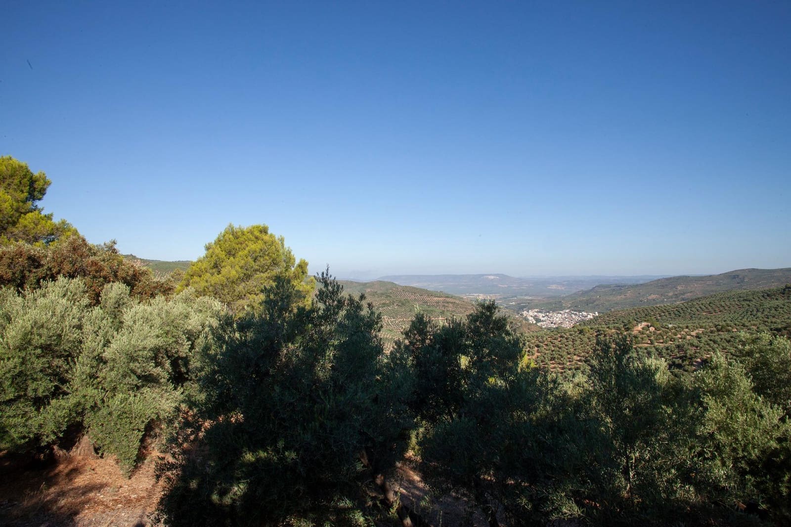 8 bedroom Finca/Country House for sale in Beas de Segura - € 345,000 (Ref: 9434203)