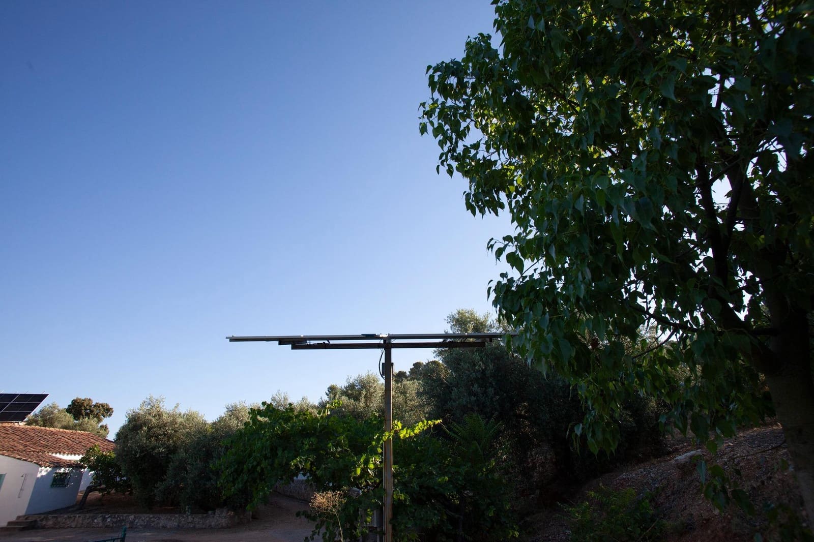 8 bedroom Finca/Country House for sale in Beas de Segura - € 345,000 (Ref: 9434203)