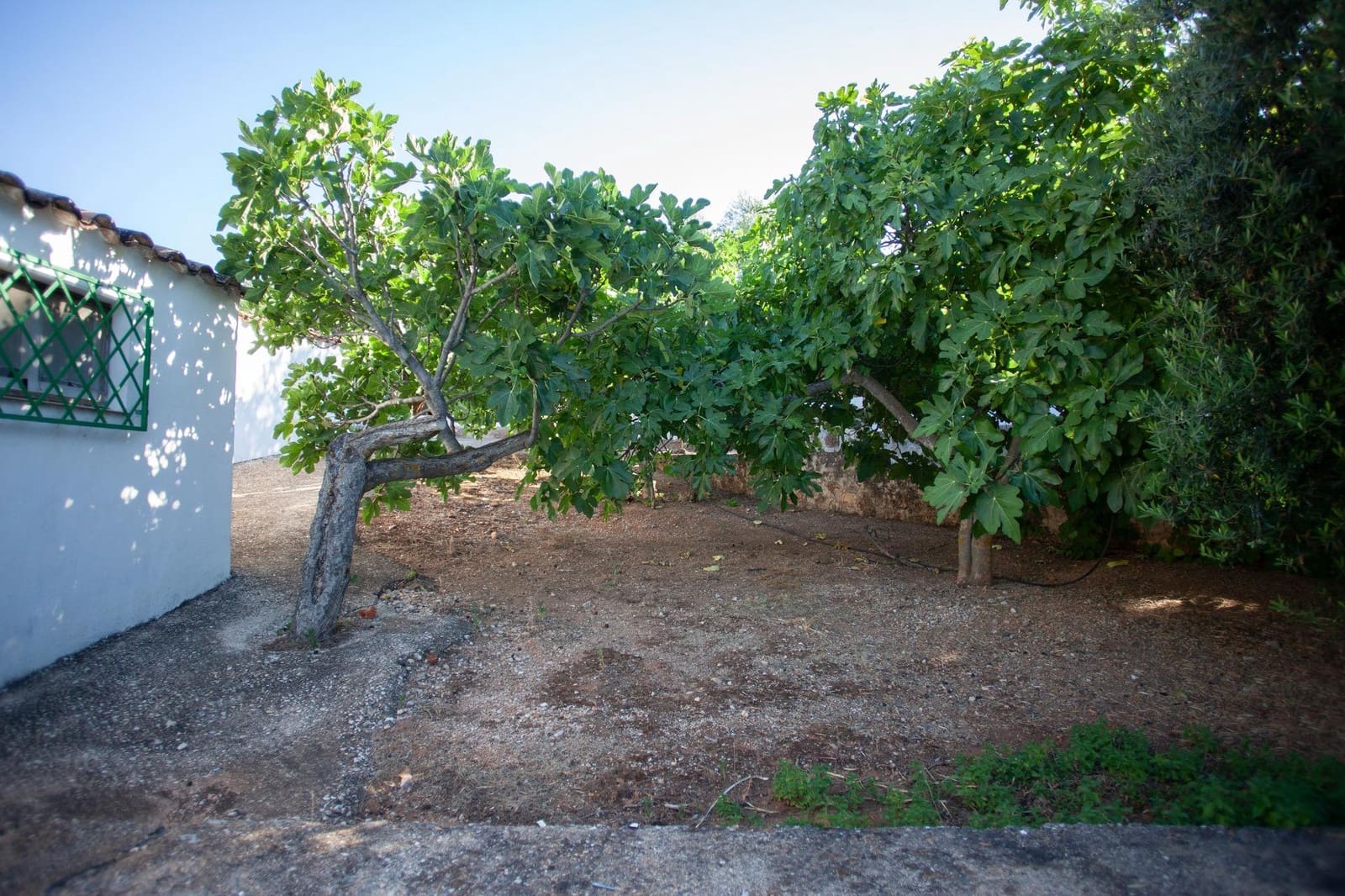 8 bedroom Finca/Country House for sale in Beas de Segura - € 345,000 (Ref: 9434203)