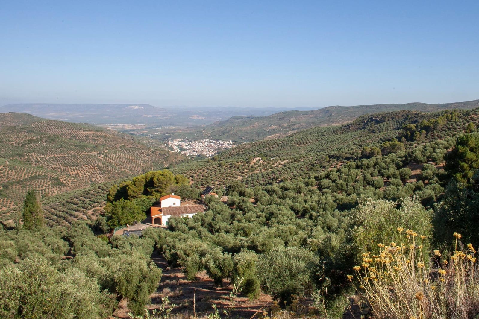 8 bedroom Finca/Country House for sale in Beas de Segura - € 345,000 (Ref: 9434203)