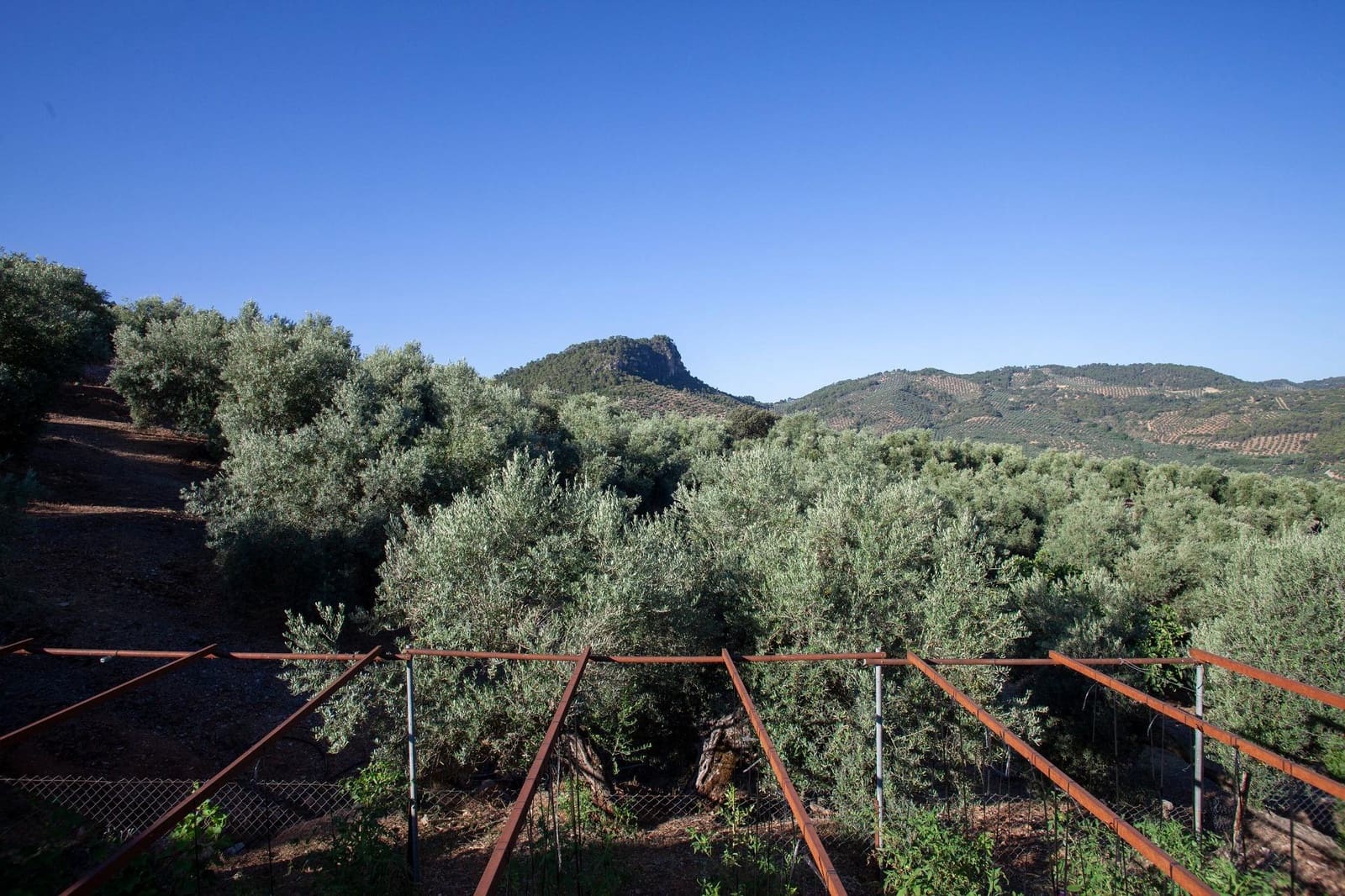 8 bedroom Finca/Country House for sale in Beas de Segura - € 345,000 (Ref: 9434203)