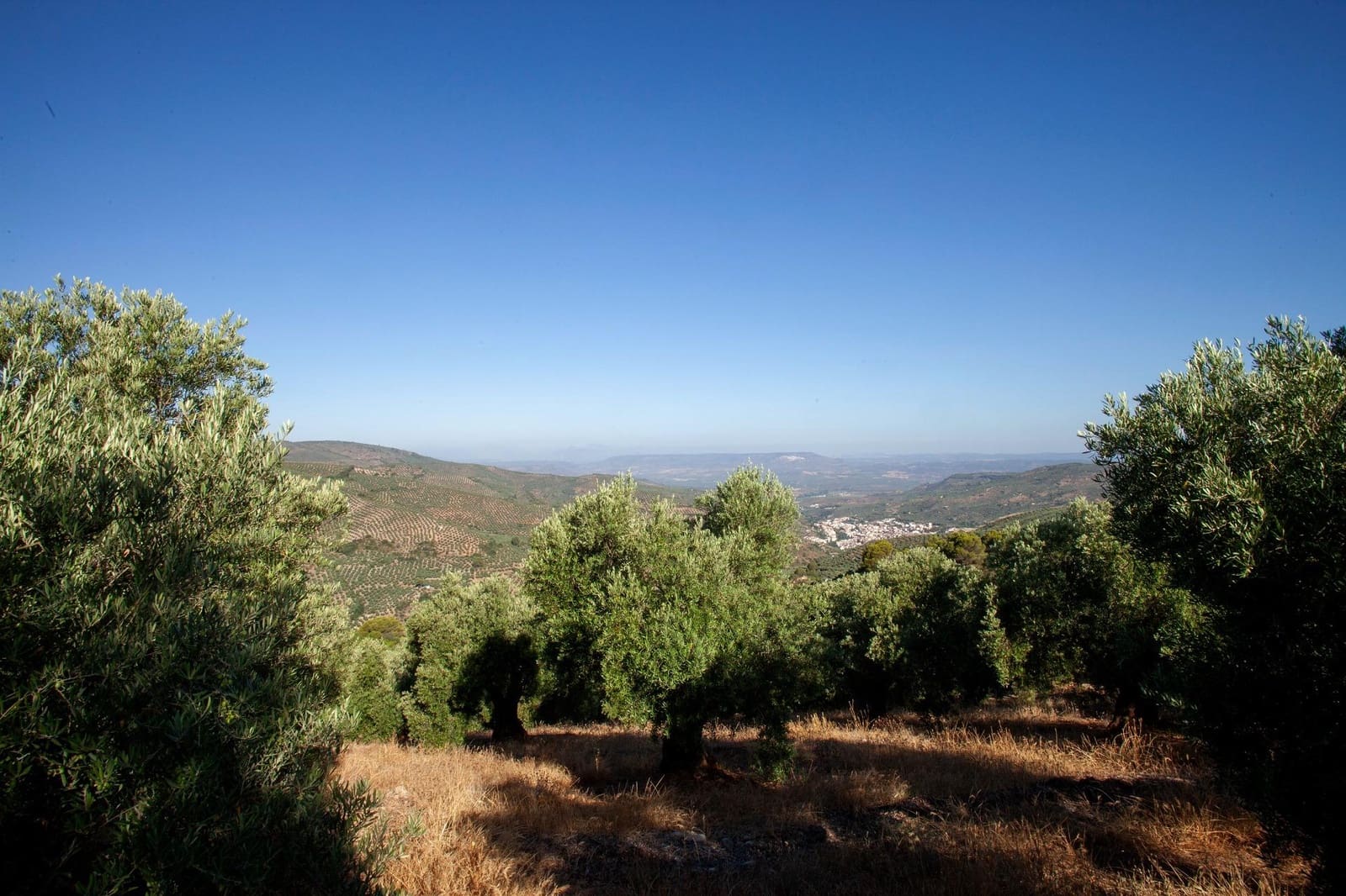 8 bedroom Finca/Country House for sale in Beas de Segura - € 345,000 (Ref: 9434203)