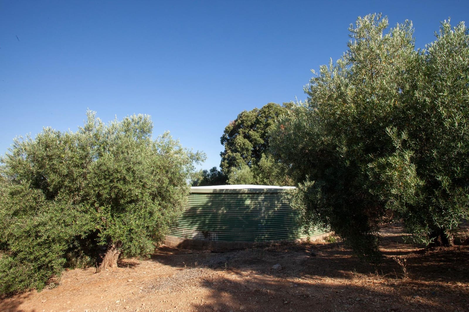 8 bedroom Finca/Country House for sale in Beas de Segura - € 345,000 (Ref: 9434203)