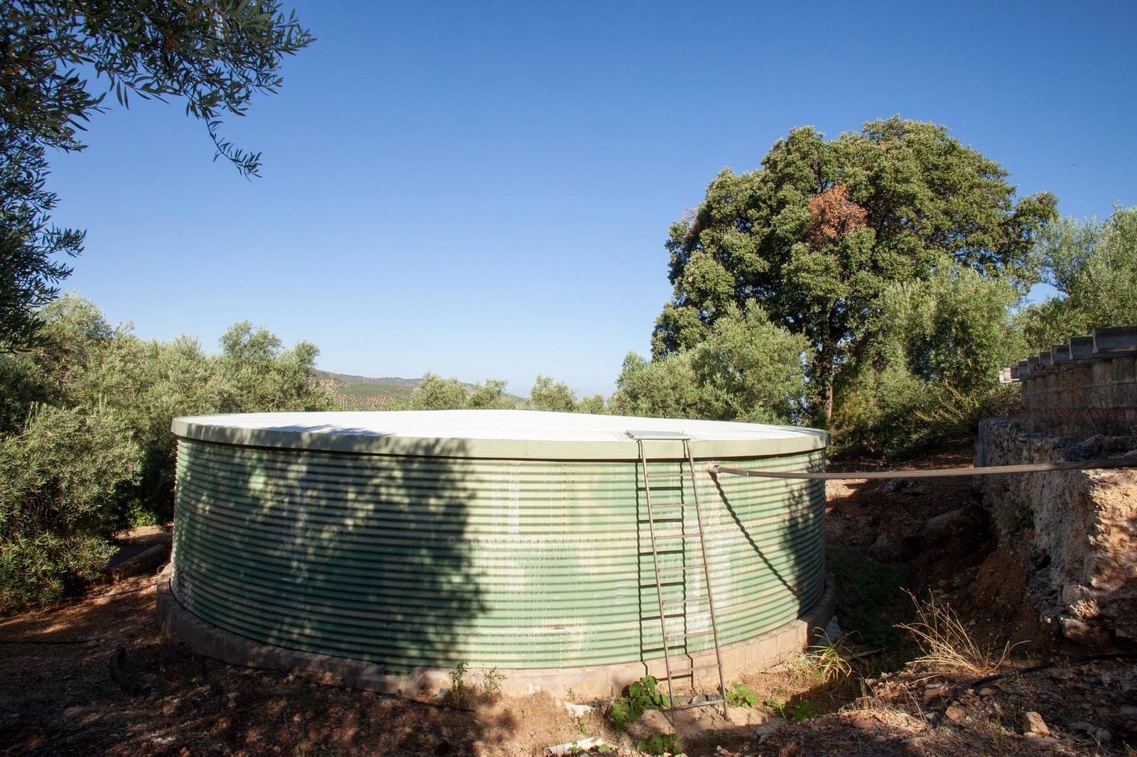 8 bedroom Finca/Country House for sale in Beas de Segura - € 345,000 (Ref: 9434203)