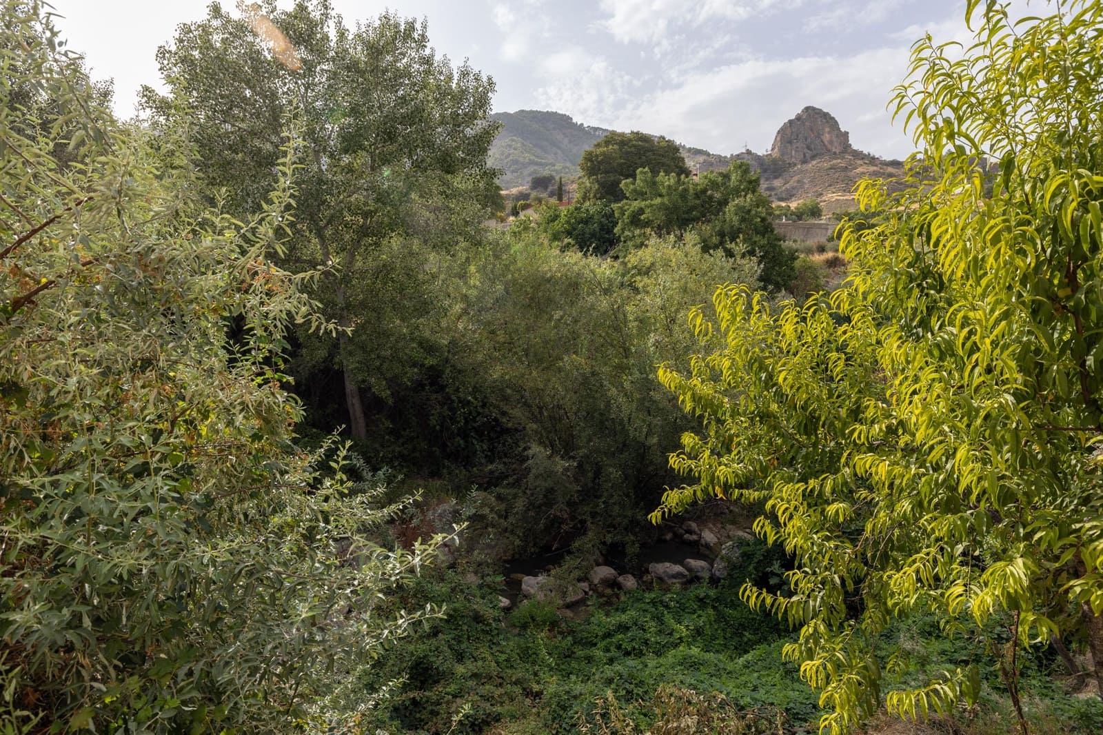 Casa de 3 habitaciones en Olivares en venta - 83.000 € (Ref: 9434204)