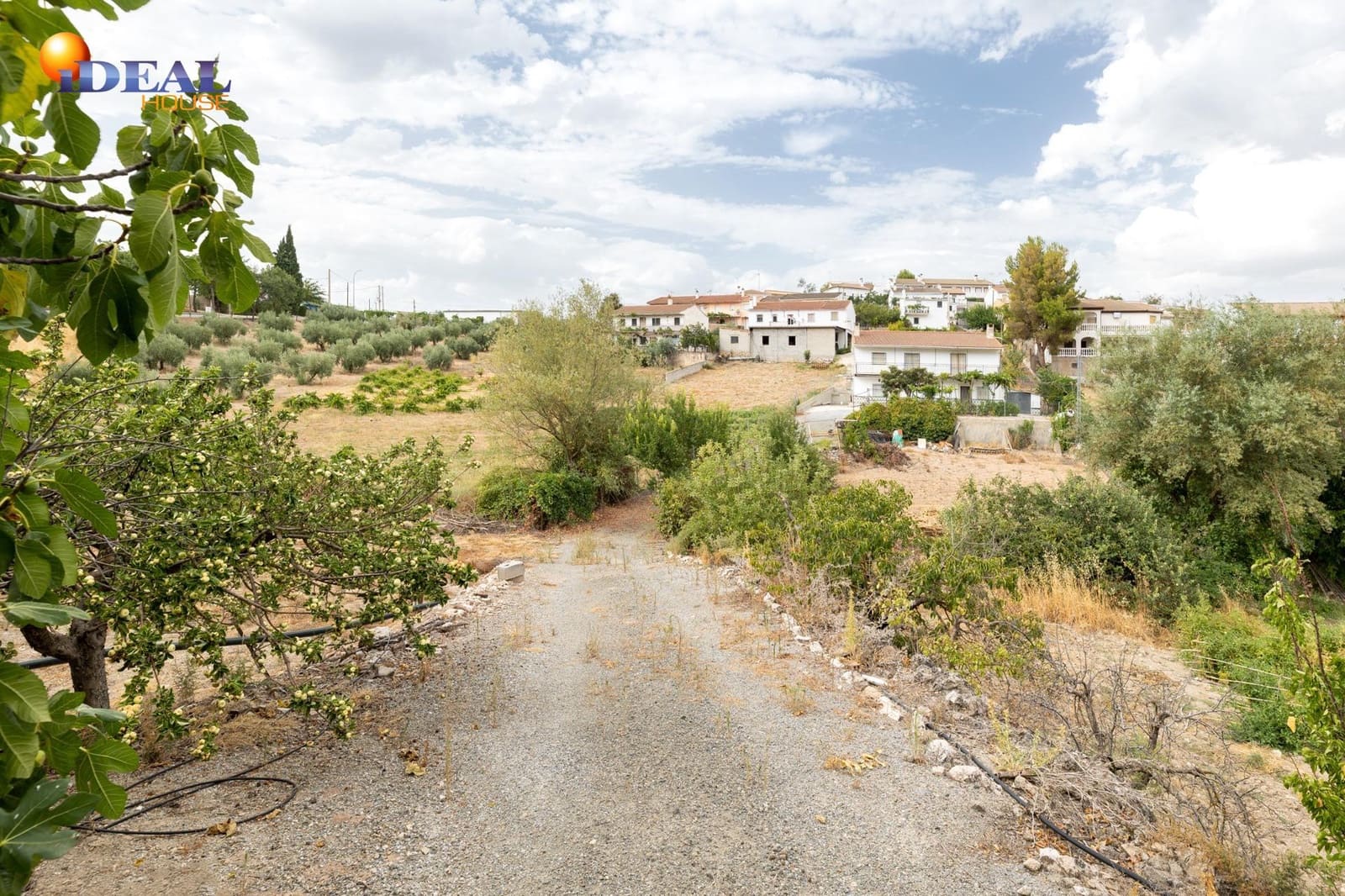 6 soverom Finca/Herregård til salgs i Colomera med garasje - € 129 000 (Ref: 9434221)