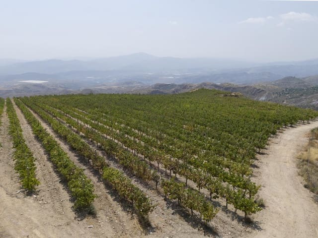 6 sovrum Företag till salu i Poligono Cartuja - La Paz, Granada stad - 1 550 000 € (Ref: 9434222)