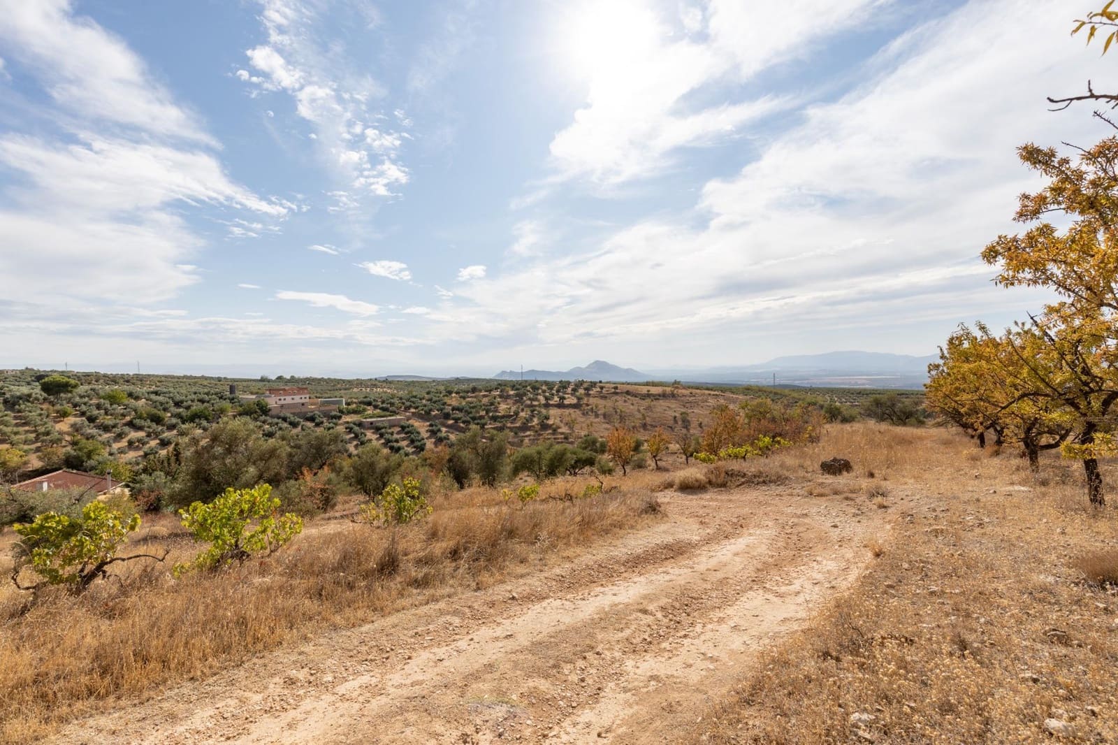 4 bedroom Finca/Country House for sale in Cogollos Vega with pool - € 199,000 (Ref: 9434233)
