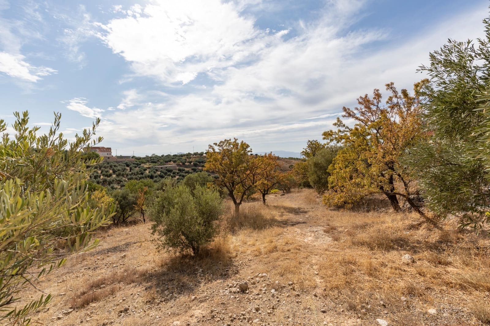 4 bedroom Finca/Country House for sale in Cogollos Vega with pool - € 199,000 (Ref: 9434233)