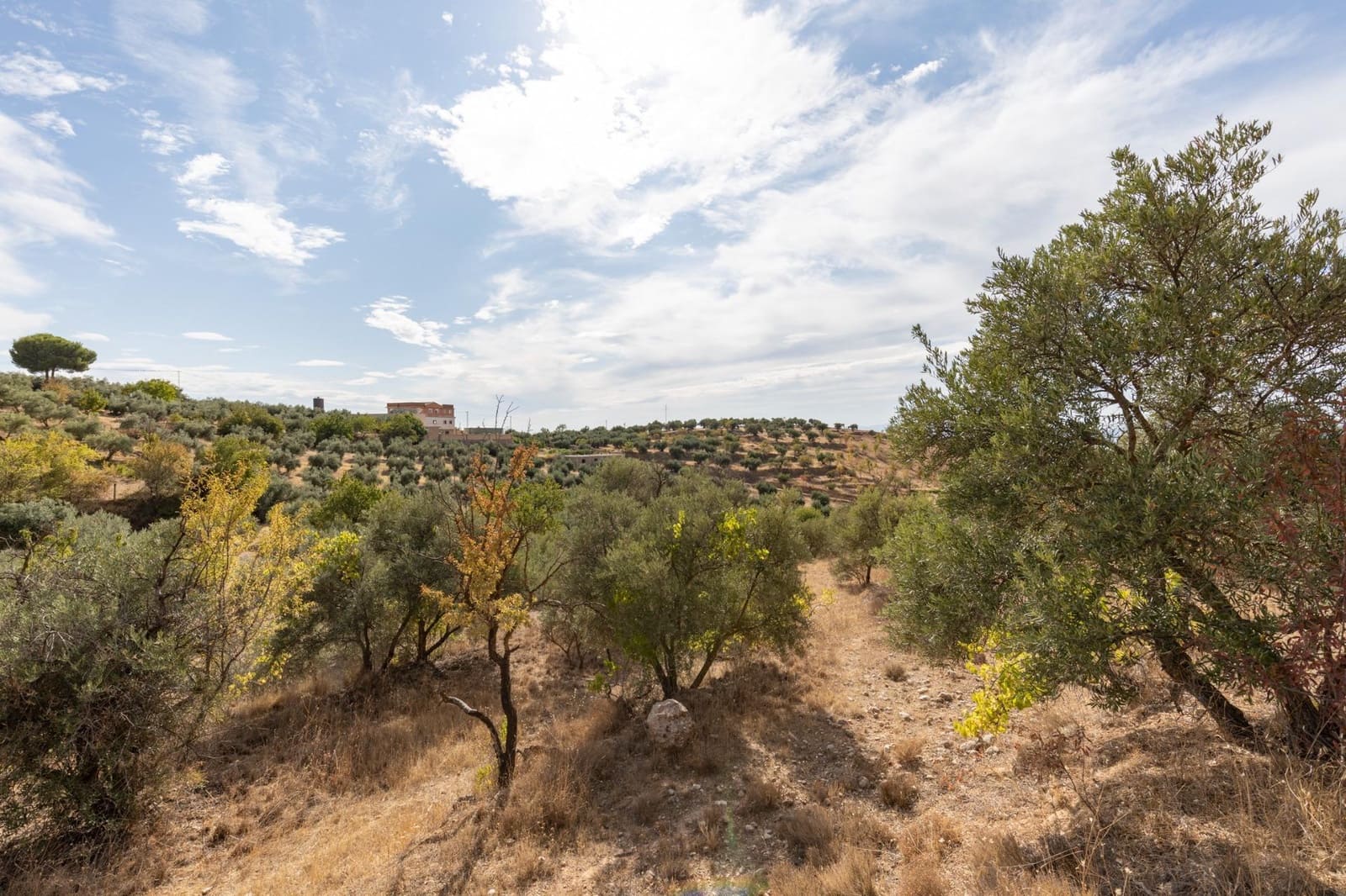 4 bedroom Finca/Country House for sale in Cogollos Vega with pool - € 199,000 (Ref: 9434233)