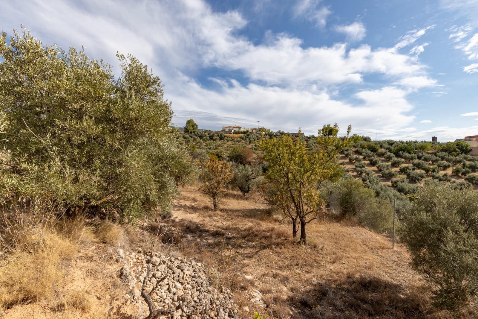 4 bedroom Finca/Country House for sale in Cogollos Vega with pool - € 199,000 (Ref: 9434233)