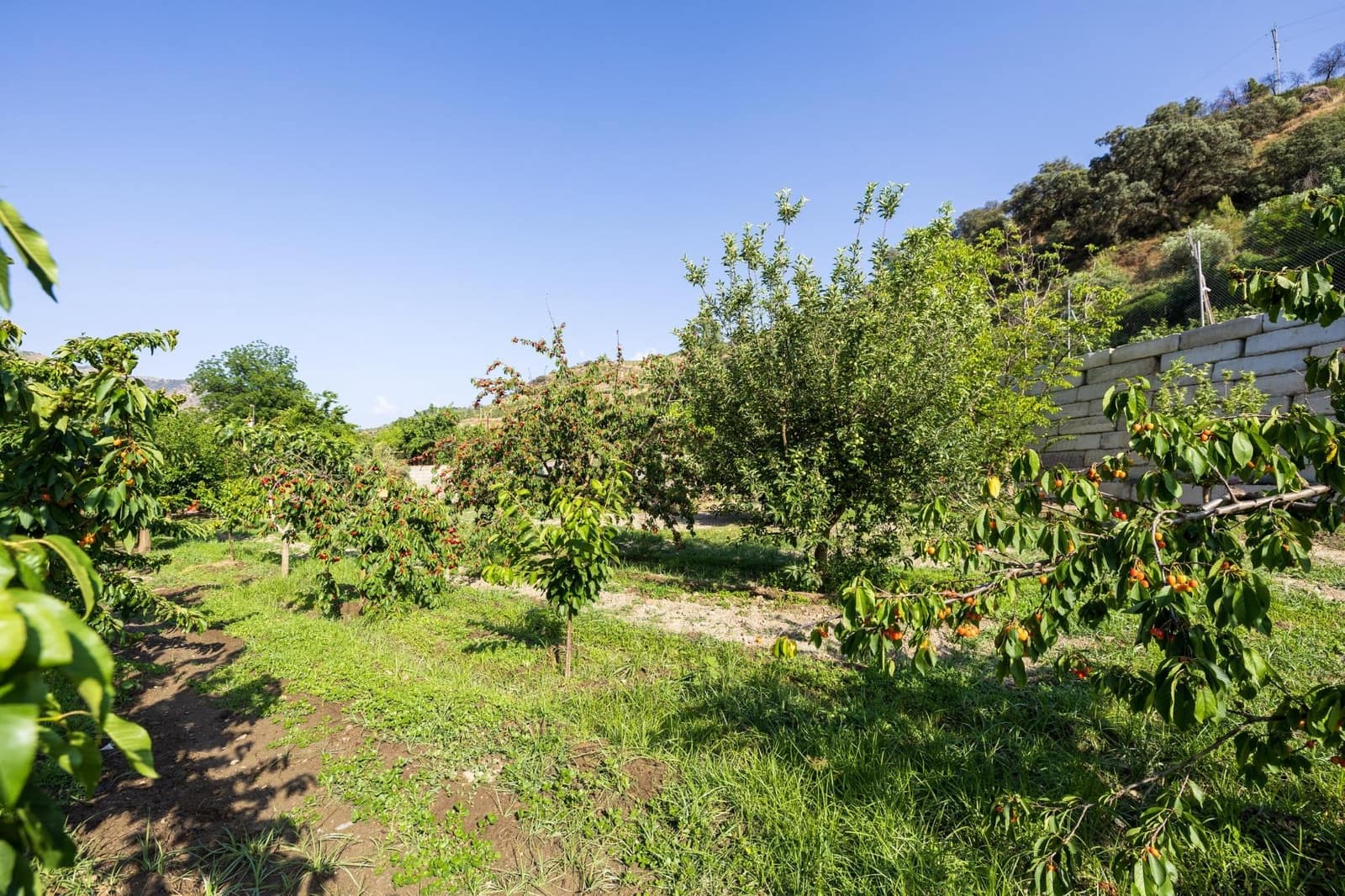 Grond te koop in Pinos Genil - € 138.000 (Ref: 9434240)