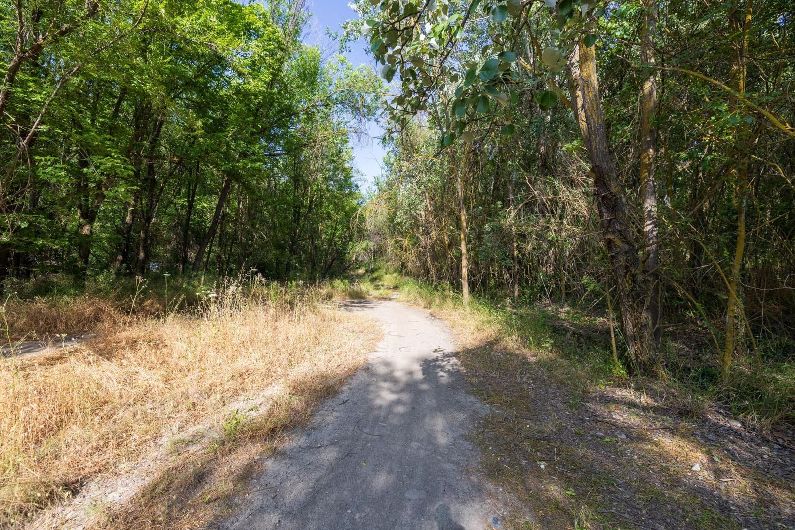 Grond te koop in Pinos Genil - € 138.000 (Ref: 9434240)