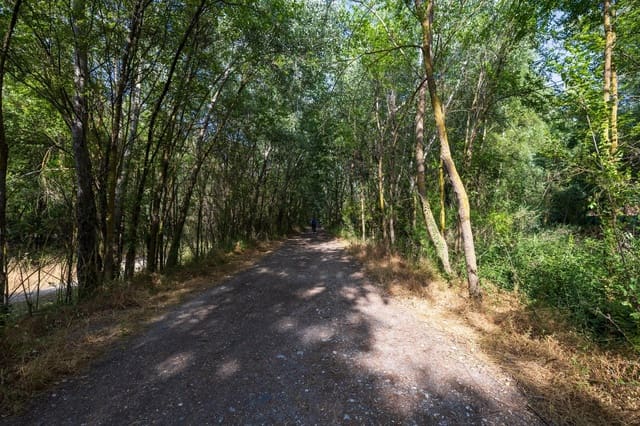 Grond te koop in Pinos Genil - € 138.000 (Ref: 9434240)