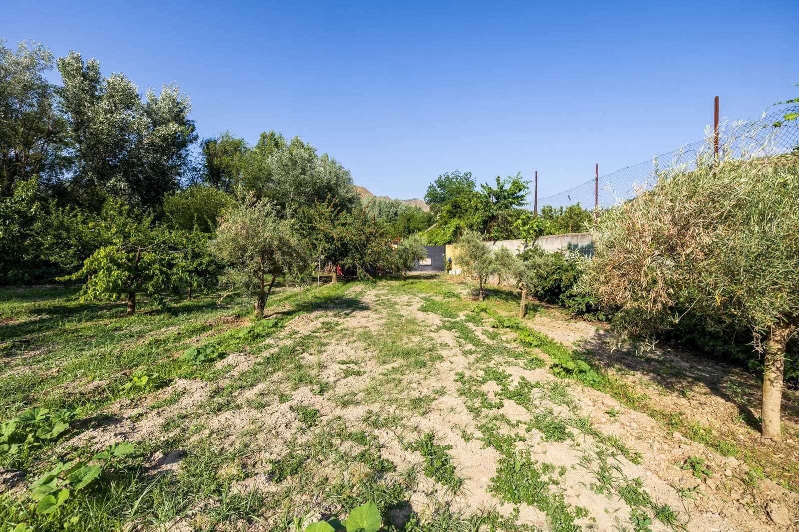 Grond te koop in Pinos Genil - € 138.000 (Ref: 9434240)