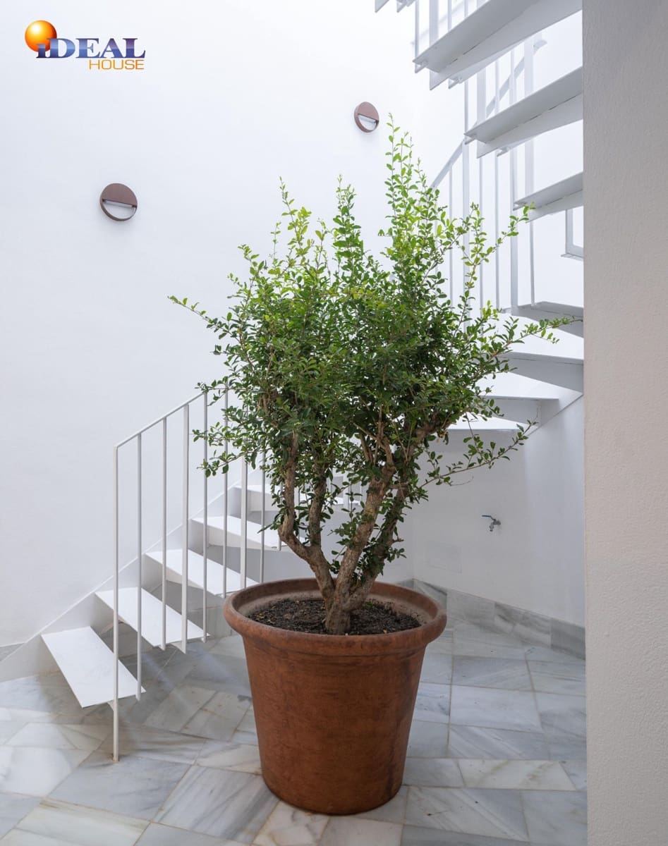 2 sovrum Lägenhet till salu i Granada stad - 265 000 € (Ref: 9434274)