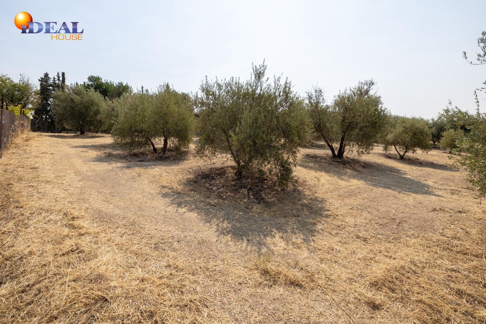 2 bedroom Finca/Country House for sale in Moraleda de Zafayona with garage - € 79,900 (Ref: 9434281)