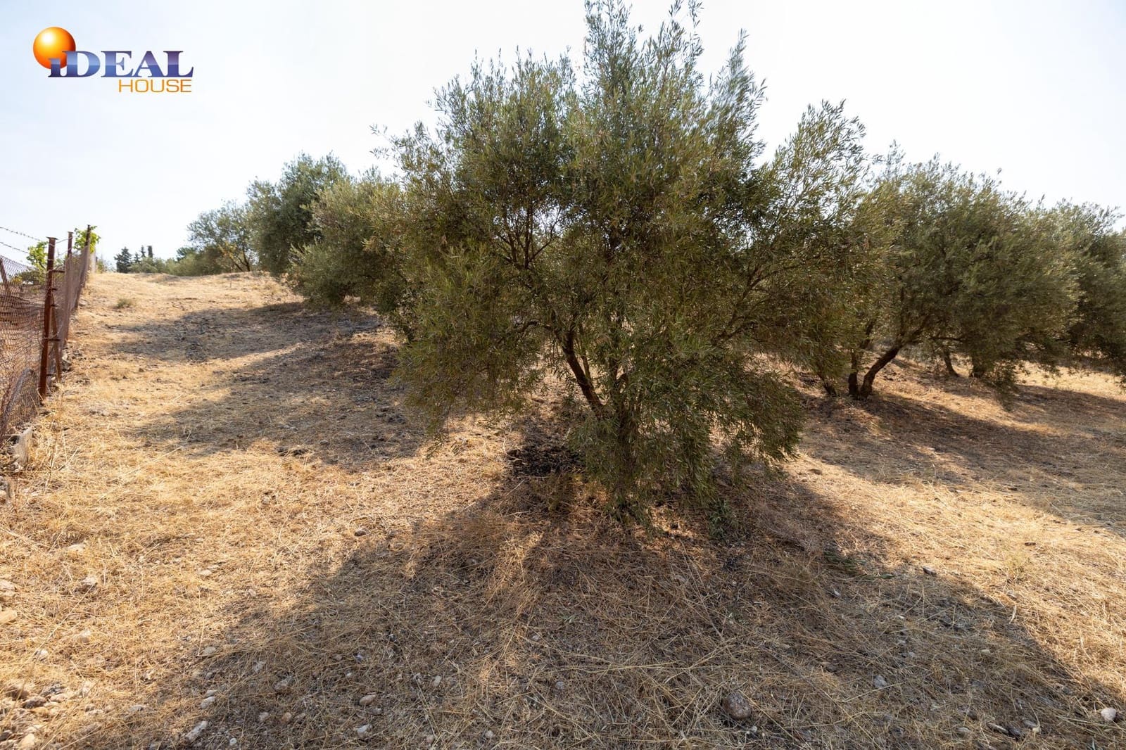 2 bedroom Finca/Country House for sale in Moraleda de Zafayona with garage - € 79,900 (Ref: 9434281)