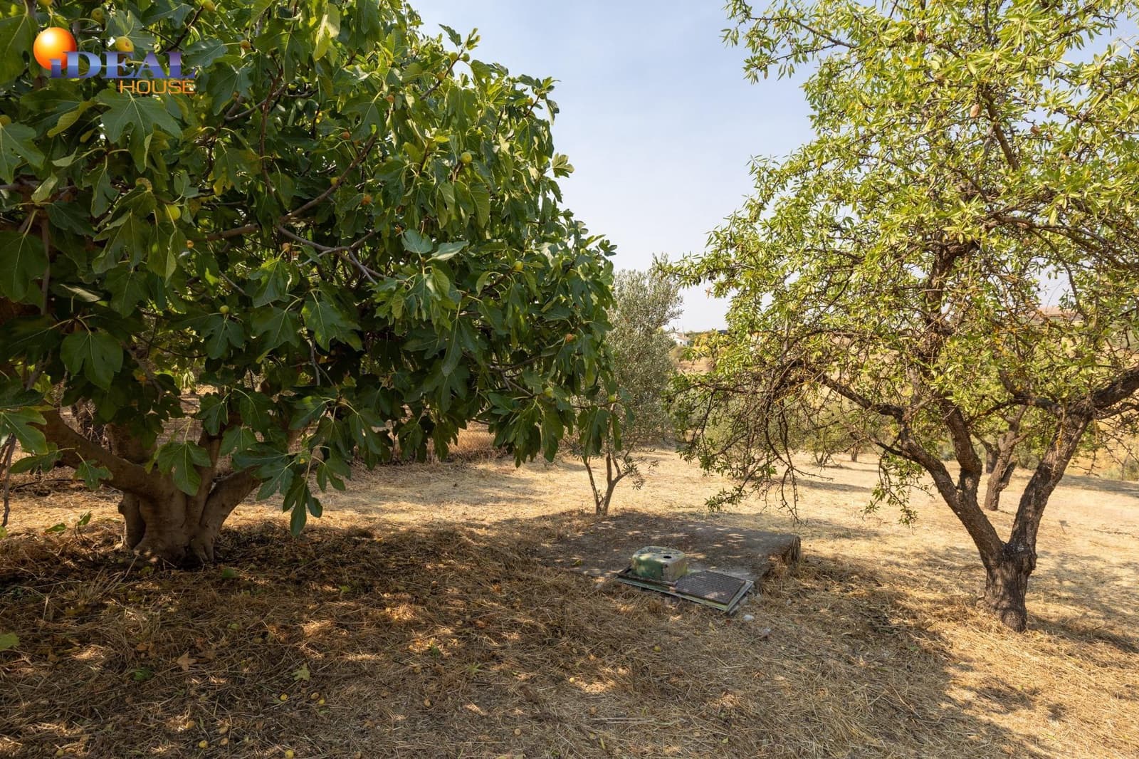 2 bedroom Finca/Country House for sale in Moraleda de Zafayona with garage - € 79,900 (Ref: 9434281)