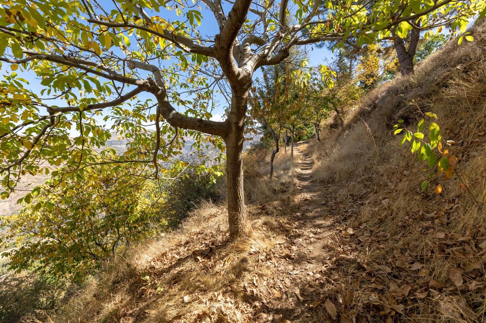 6 soveværelse Finca/Landehus til salg i Guejar Sierra med garage - € 439.000 (Ref: 9434321)