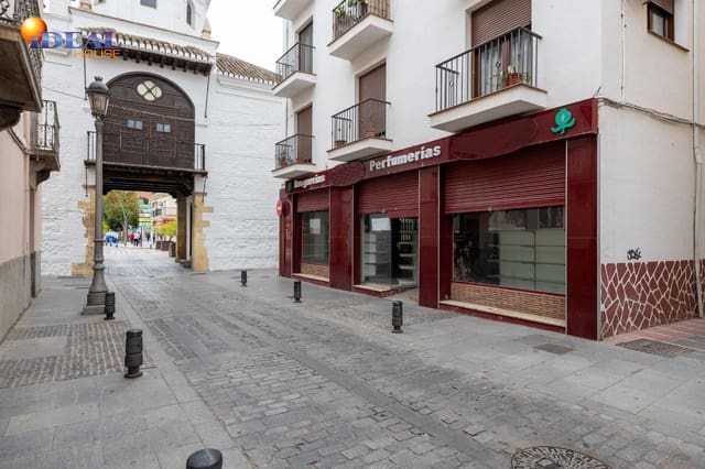 2 quarto Comercial para venda em Santa Fe - 195 000 € (Ref: 9434395)