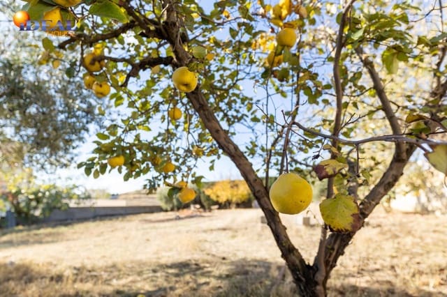 Area Edificabile in vendita in Las Gabias - 120.000 € (Rif: 9434473)