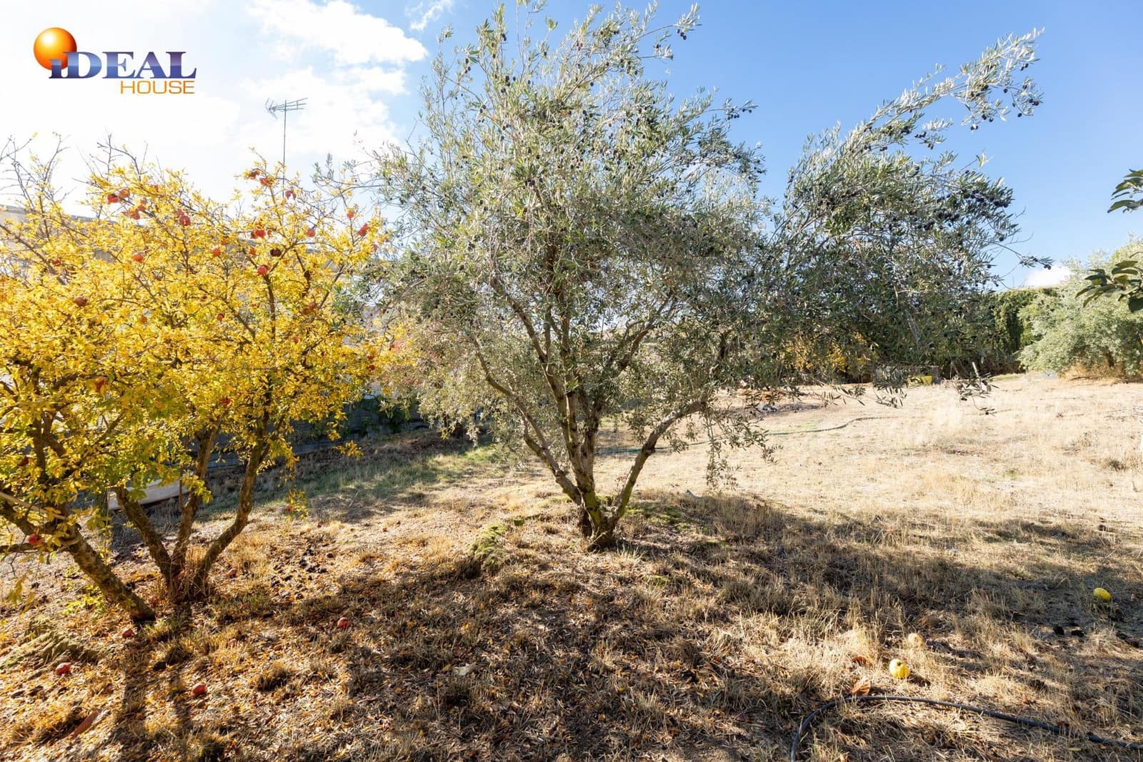 Area Edificabile in vendita in Las Gabias - 120.000 € (Rif: 9434473)