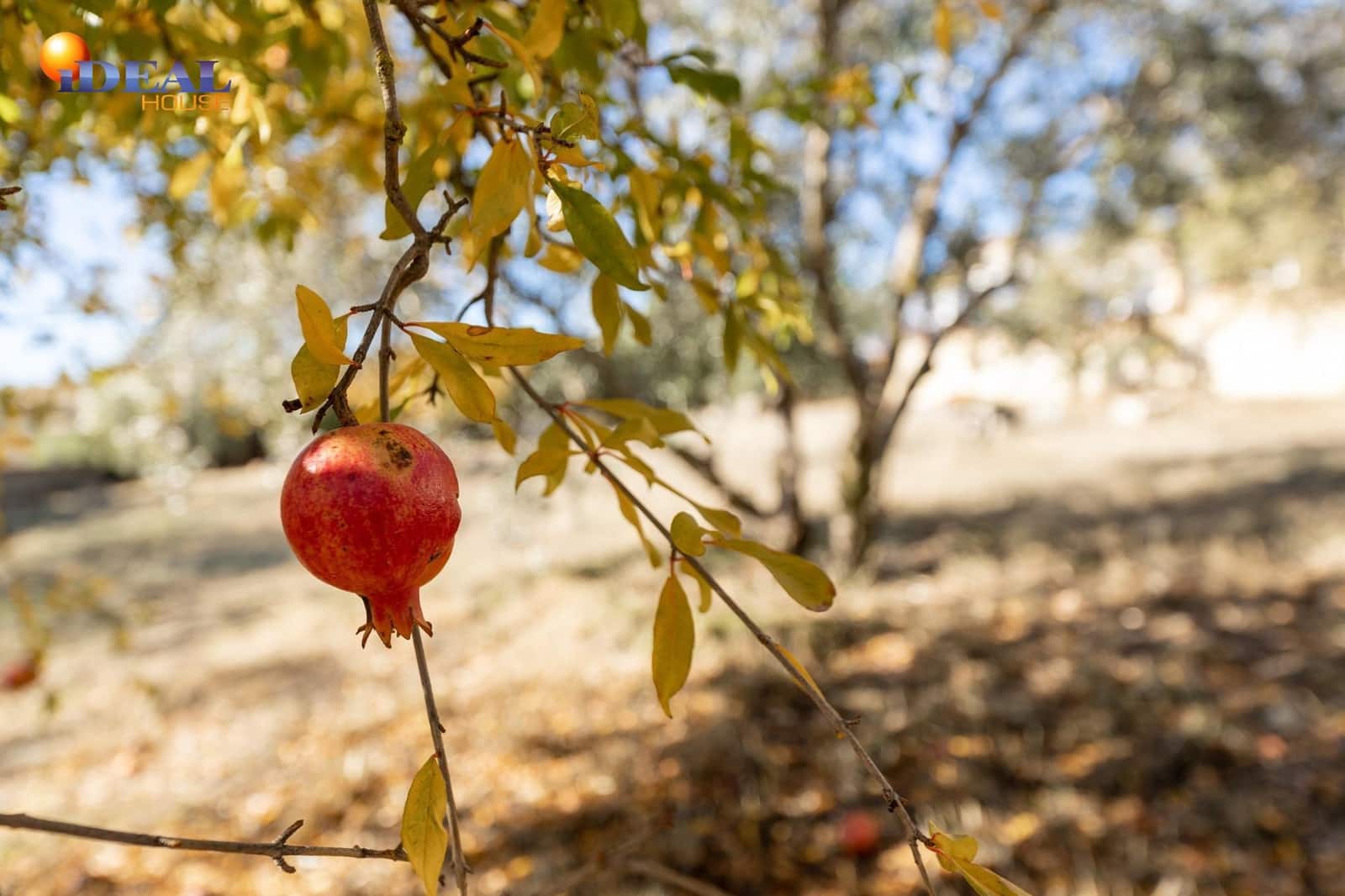 Area Edificabile in vendita in Las Gabias - 120.000 € (Rif: 9434473)