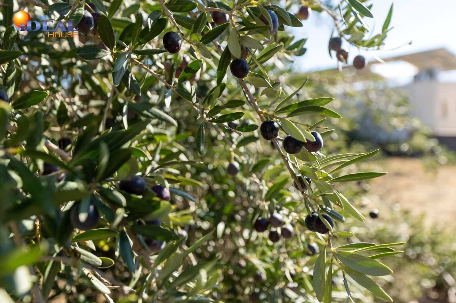 Area Edificabile in vendita in Las Gabias - 120.000 € (Rif: 9434473)