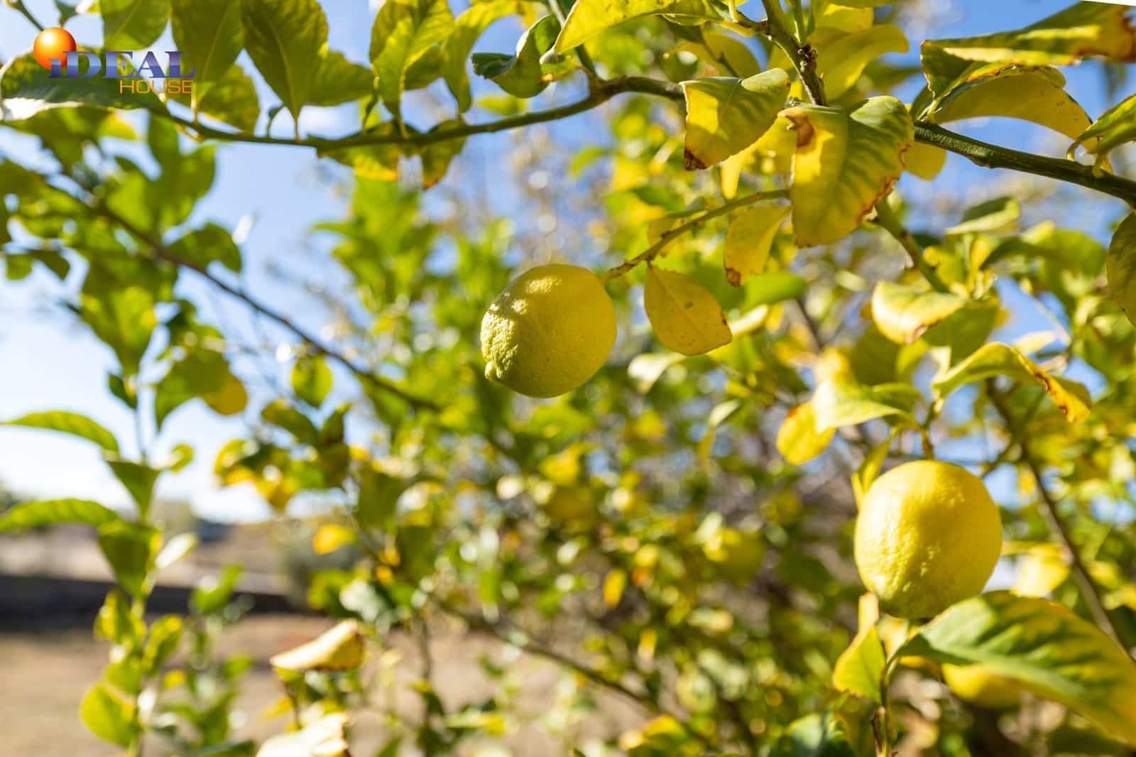 Area Edificabile in vendita in Las Gabias - 120.000 € (Rif: 9434473)