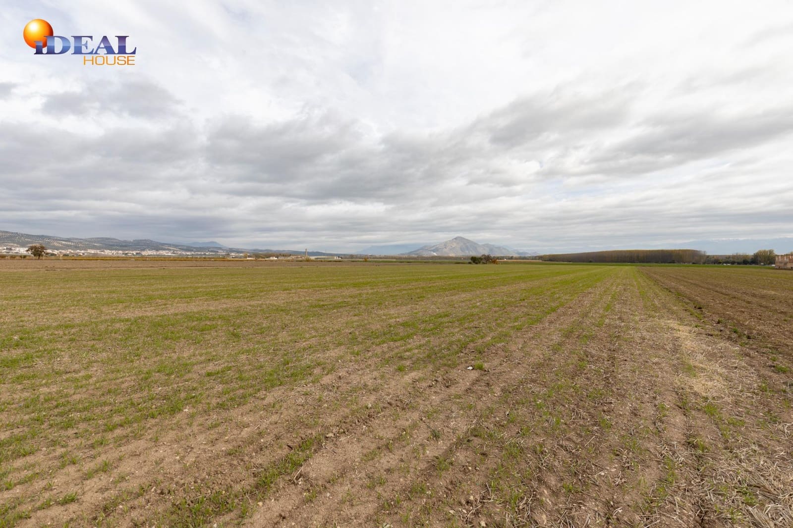 Byggetomt til salgs i Valderrubio - € 100 000 (Ref: 9434504)