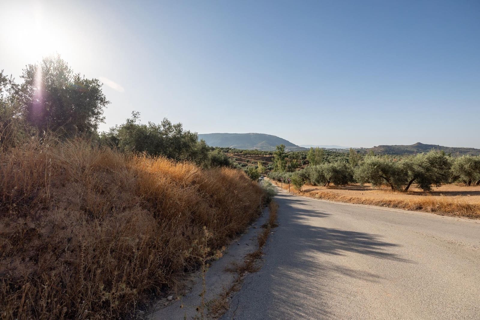 Terreno Não Urbanizado para venda em Cogollos Vega - 29 000 € (Ref: 9434517)