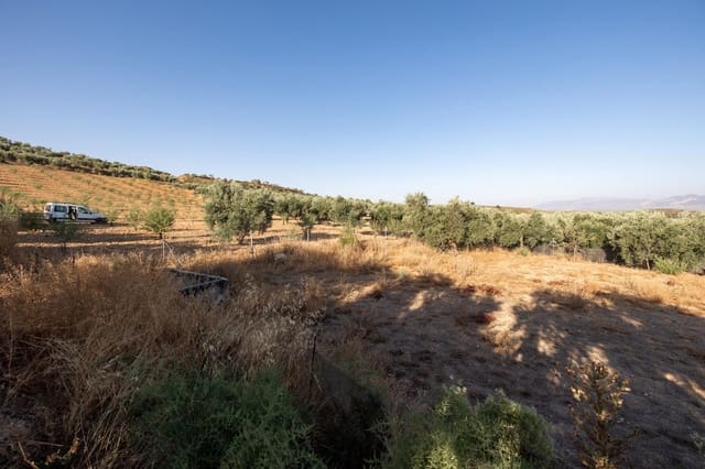 Terreno Não Urbanizado para venda em Cogollos Vega - 29 000 € (Ref: 9434517)