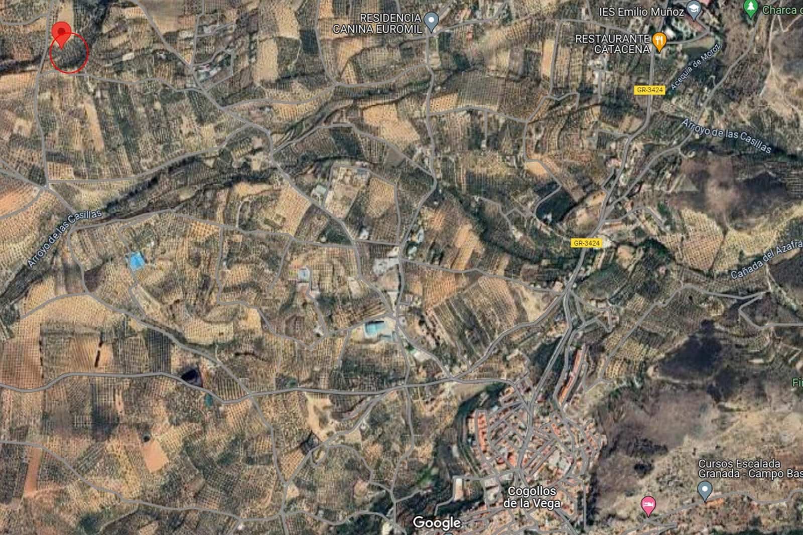 Terreno Não Urbanizado para venda em Cogollos Vega - 29 000 € (Ref: 9434517)