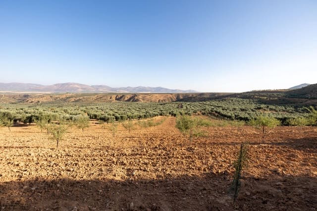 Terreno Não Urbanizado para venda em Cogollos Vega - 29 000 € (Ref: 9434517)