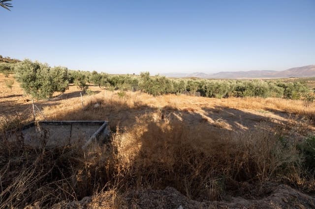 Terreno Não Urbanizado para venda em Cogollos Vega - 29 000 € (Ref: 9434517)