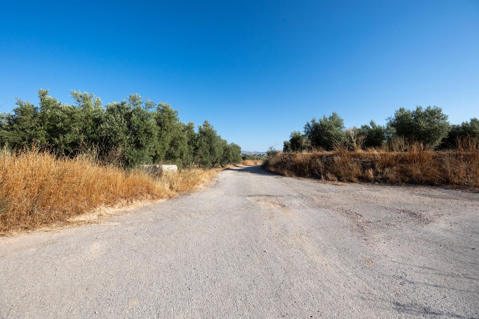 Terreno Não Urbanizado para venda em Cogollos Vega - 29 000 € (Ref: 9434517)