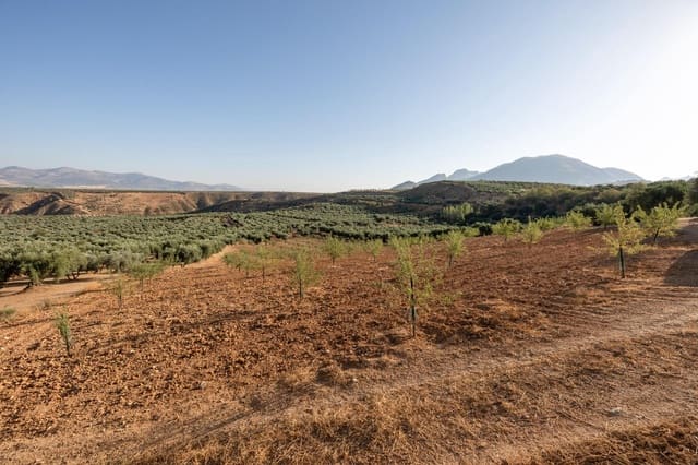 Terreno Não Urbanizado para venda em Cogollos Vega - 29 000 € (Ref: 9434517)