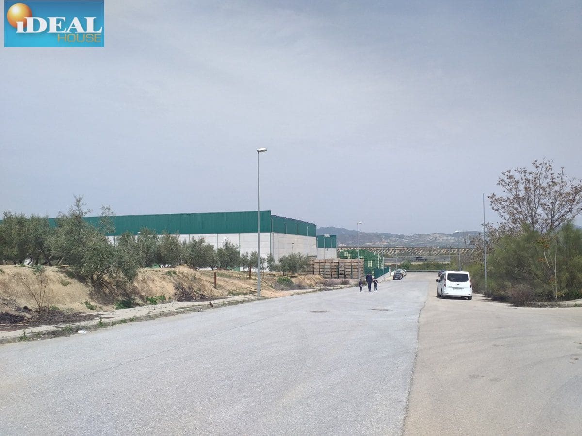 Mark till salu i Lachar - 68 760 € (Ref: 9434544)