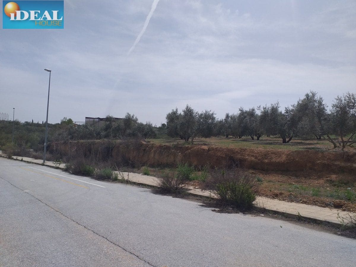 Mark till salu i Lachar - 68 760 € (Ref: 9434544)