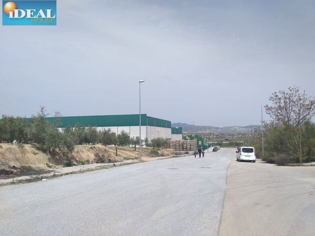 Mark till salu i Láchar - 68 760 € (Ref: 9434544)